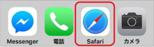 safari